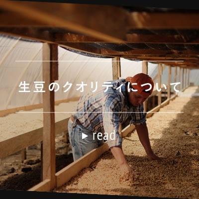 生豆のクオリティについて